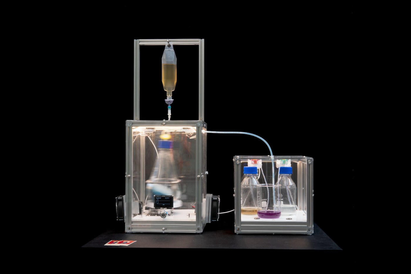 The Nafas Chamber bioreactor lit against black
